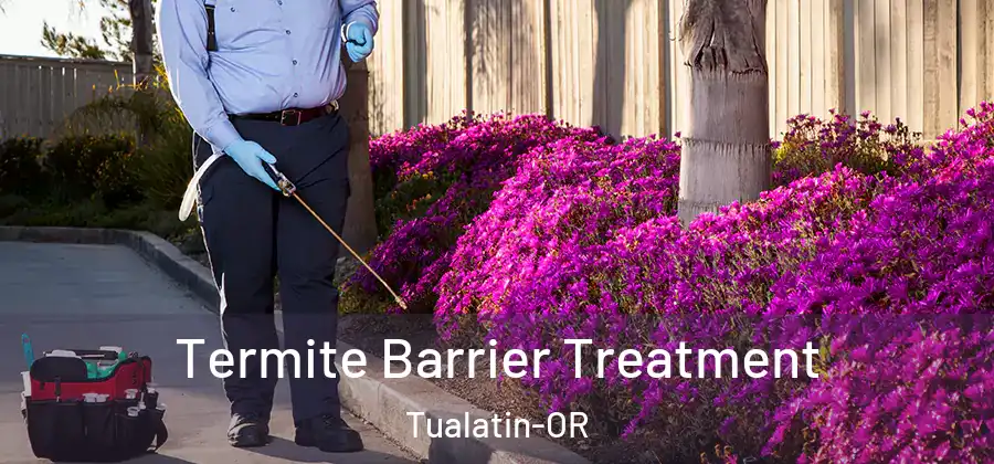 Termite Barrier Treatment Tualatin-OR