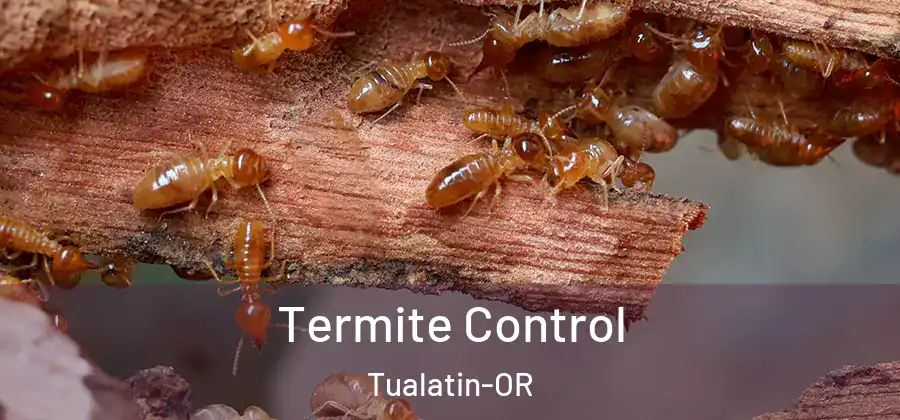  Termite Control Tualatin-OR