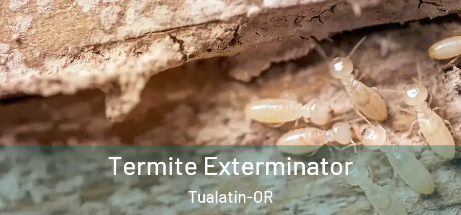 Termite Exterminator Tualatin-OR