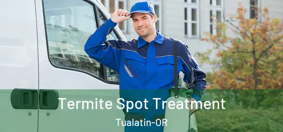 Termite Spot Treatment Tualatin-OR