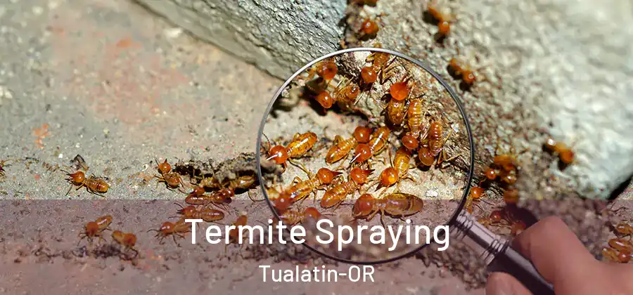 Termite Spraying Tualatin-OR