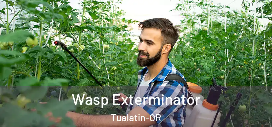 Wasp Exterminator Tualatin-OR