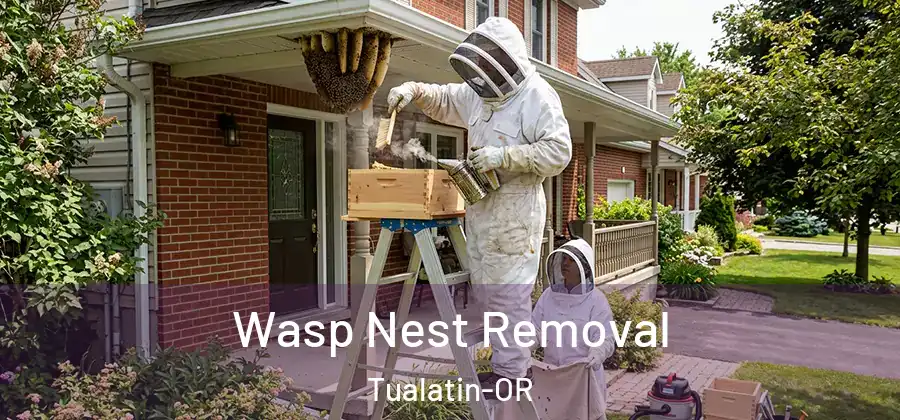 Wasp Nest Removal Tualatin-OR