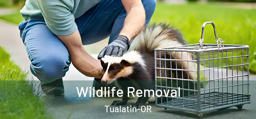 Wildlife Removal Tualatin-OR