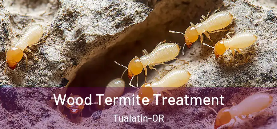 Wood Termite Treatment Tualatin-OR