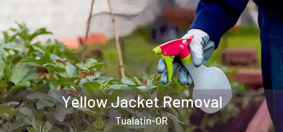 Yellow Jacket Removal Tualatin-OR
